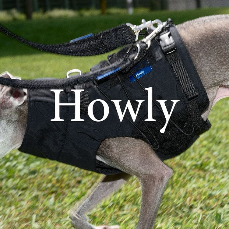 shop img